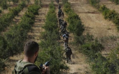 俄罗斯出手，叙利亚政府军连战连捷，恐怖分子纷纷逃亡土耳其