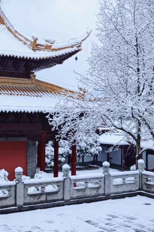 雪后的南京真美！