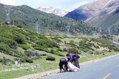  「路边」自驾川藏线，被路边的藏民清洁工所惊到，一个生产队的人来捡垃圾