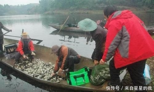 「天气」这里的鱼不仅多, 而且傻, 钓鱼拉得手抽筋