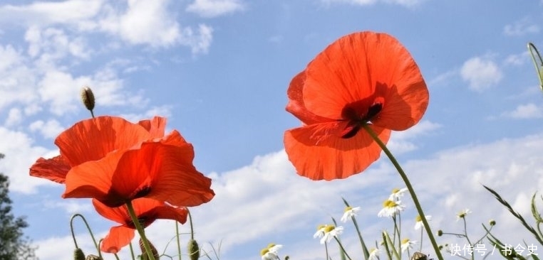 『动容』“最不显老”的3个生肖女,五官精致身材高挑,更令男生动容!