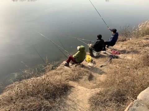  『高频』钓鱼：要想高频、高速上鱼，就用飞铅，别拍累，一窥它的精髓！