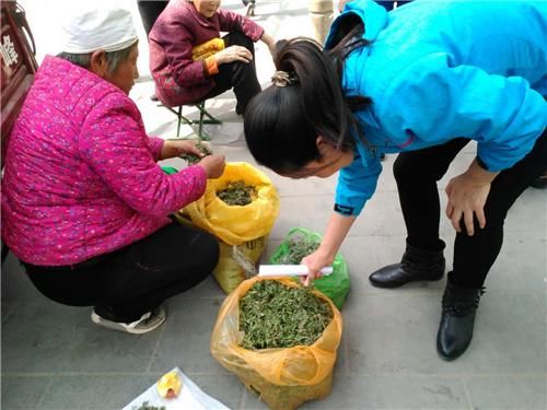 面条菜是哪里的 t01ee732de6480bc9ad.jpg