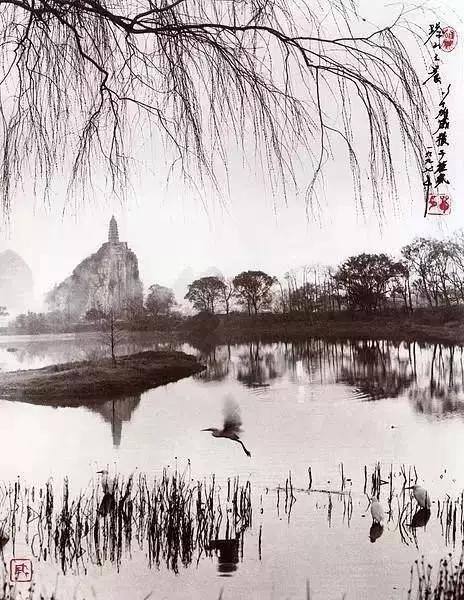 绝了，这真的是摄影，不是画的，看看大师之作！