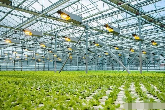  「2020年」2020年农民种啥、养啥能赚钱，专家指出2大赚钱机会，