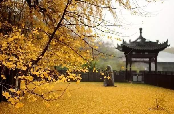 《延禧攻略》竟把陕西的陕西灵秀美景藏了进去！