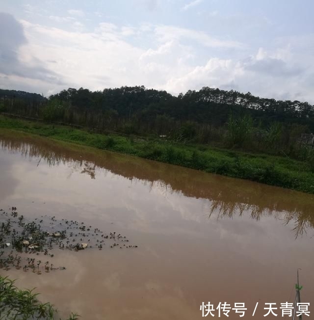  [春江]2020.2.14独钓春江涨水鱼