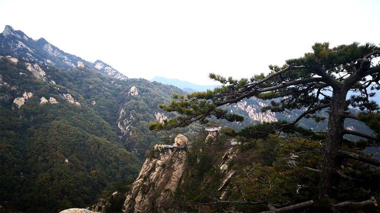 河南一座可与黄山相媲美的山峰，堪称天然避暑胜地，还是5A景区