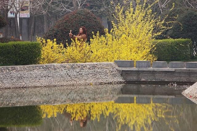 三月春暖花开，又到了寻花问柳的季节!