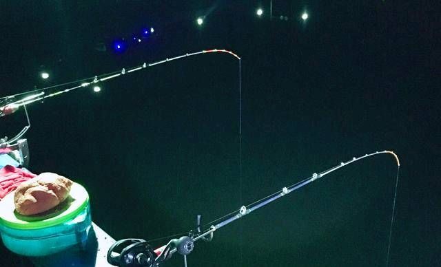  钓法：桥筏钓鱼，一种很简单的钓鱼方法，我说你听