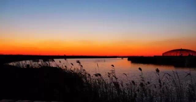 美卫星监控黄河20年，发现惊世一幕，联合国都被震动（揭秘：黄河