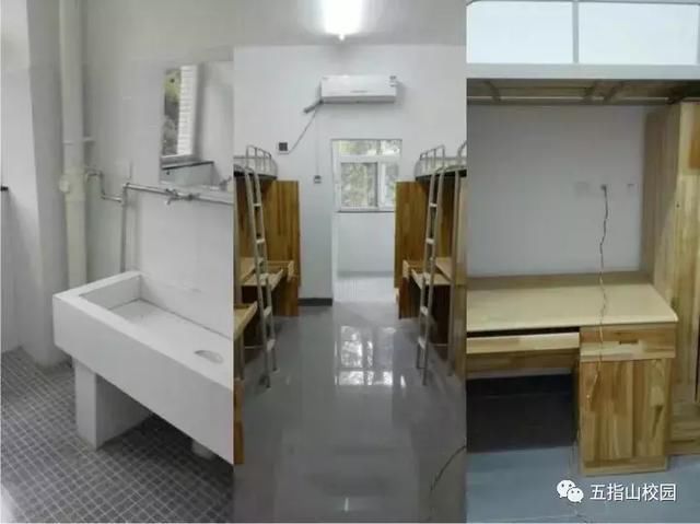 十城百校|武汉大学樱花季游客却不能随便进?