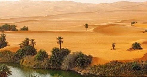  「发生」假如将我国的塔克拉玛干沙漠改造成绿洲, 会发生什么?