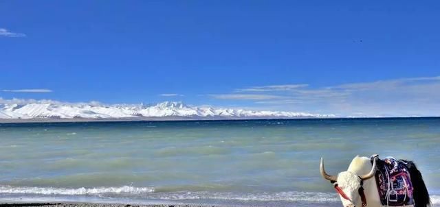 我想和你去这7个“仙境湖泊”共度余生