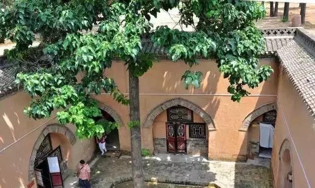 太太太太惊叹了！在地下4000年不灭！神人震撼全球！