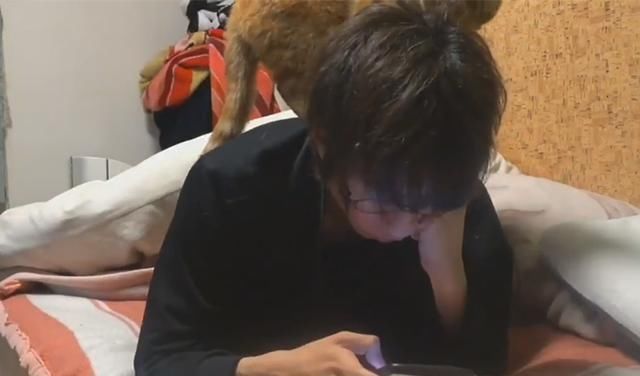  [粘人]主人趴床上玩手机，衣领处意外钻出猫头，猫咪：休想无视我