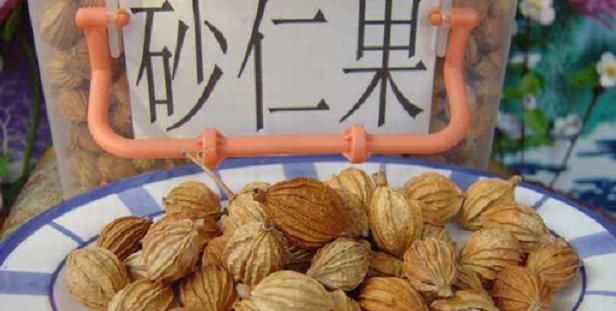  【野果】一种味道奇香的野果，人们把它当成香料，如今却是珍贵