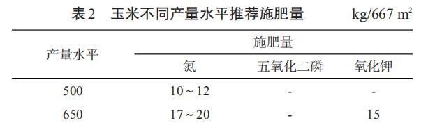  「栽培」夏玉米栽培，做好以下这5点关键要点，提高效益