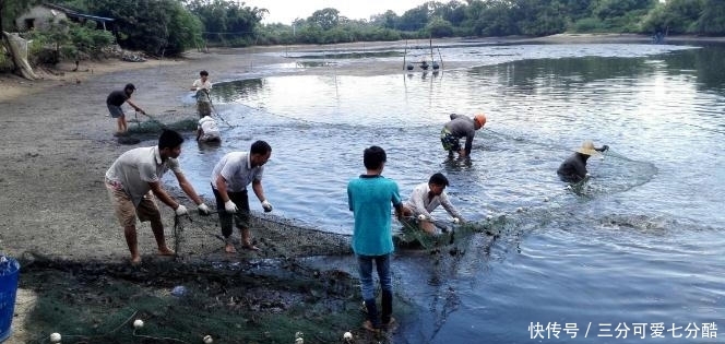  「南水北调」南水北调调去的水里，有没有鱼儿？说出来相信你会
