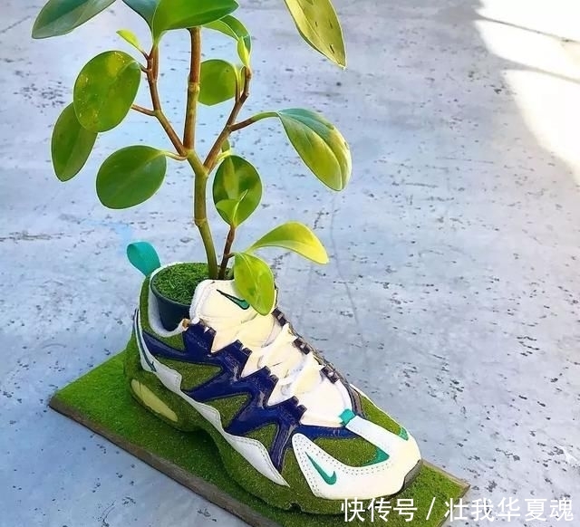  填充■球鞋当花瓶，鲜花填充羽绒服？时尚界的环保也太香了