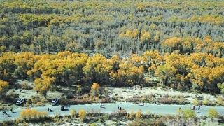  #容克#欧盟委员会主席容克将卸任 感慨万千泪洒欧盟峰会