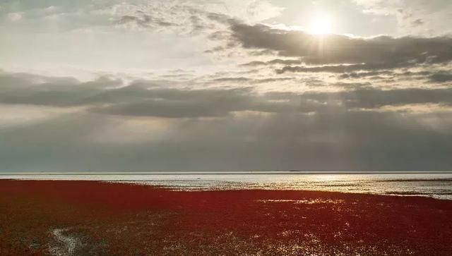 又一个红叶王国！国内这处秘境，有比肩枫叶之国加拿大的醉美秋色