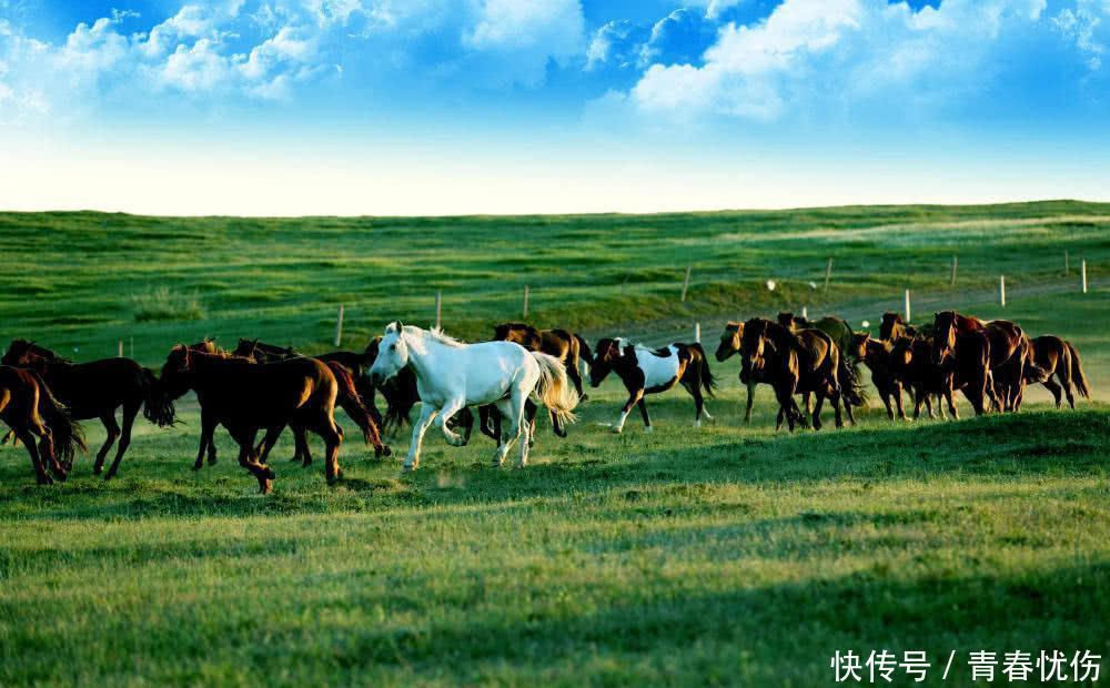 国内“最富裕”的城市,不是上海也不是北京,人均GDP达18万