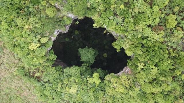  发现■我国又发现一世界级天坑群，坑内首现30米高野生董棕林