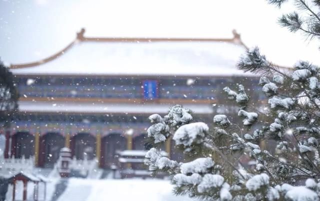 初冬已至，降温来袭 | 陕西这些地方已经下雪啦！想看雪景的走起