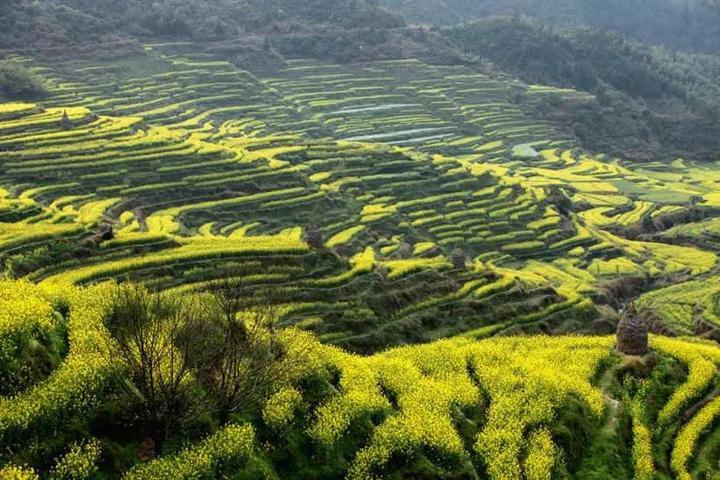 京沪动卧等京沪线夕发朝至列车集体换车 绿色复兴号接班