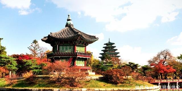 坑不到中国人就坑自己人, 韩国旅游业真是回天无力