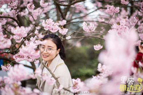 花开成海！再过一周重庆将美翻全国，14处美景玩转这个春天！