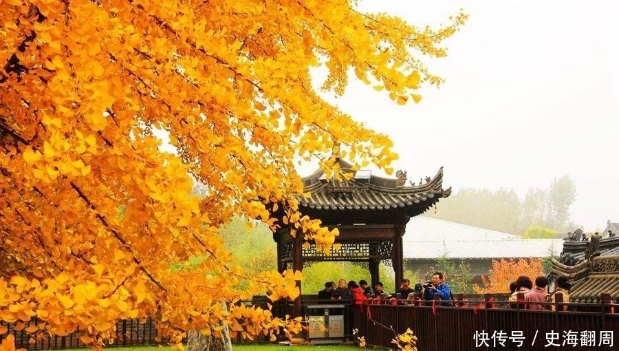 西安的千年银杏火了!但只有本地人知道,这些美景完全不输银杏…