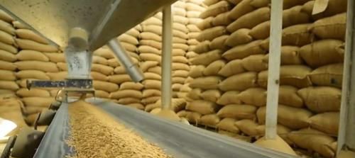  「大国」同样是人口大国，为何印度向全球出口粮食，中国却满世界进口粮食