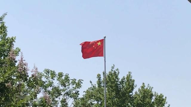  森林■36℃+8级阵风！山东五一期间天气预报出炉 森林火险等级高