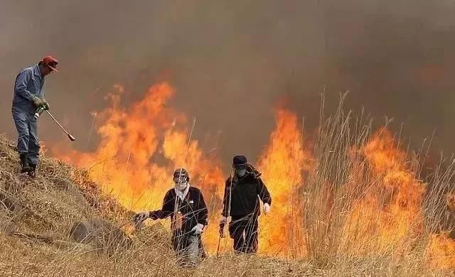  们农民：农民三问：一问粮价低二问烧荒错哪，三问清洁煤好哪，