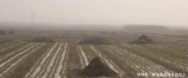 农村土葬改火葬后，与活人争地的坟墓却越来越坚固，这是为何