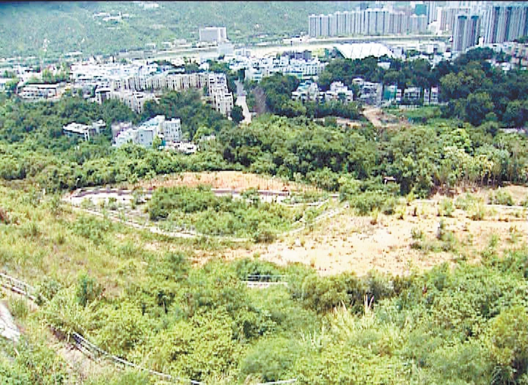  盖房：李嘉诚等人手里有农地近1亿方呎！有人建议：收回农地盖房