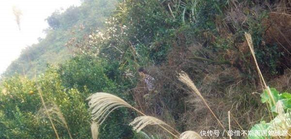 农民收割的时候，竟发现稻田里活着这些东西，从此每年多入上万元