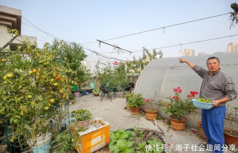 家庭菜园设计：打造绿色生活新方式