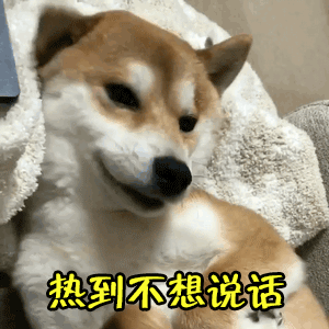 大风、降温、扬沙今天配齐！长袖+口罩切记！