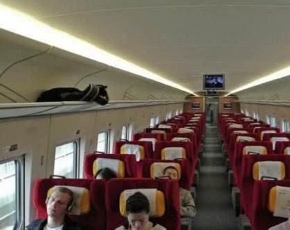  #一线城市#偏远地区修建高铁一定会亏损，为何国家还要建呢？这