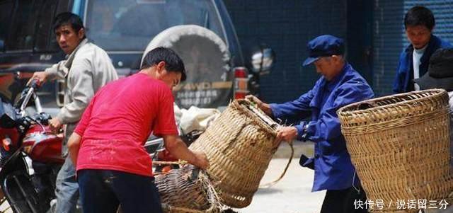 农民在树林下种它，亩产300公斤，每公斤近百元