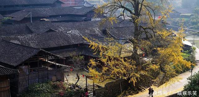 厉害!永嘉又有两村上榜中国传统村落!现在6个了