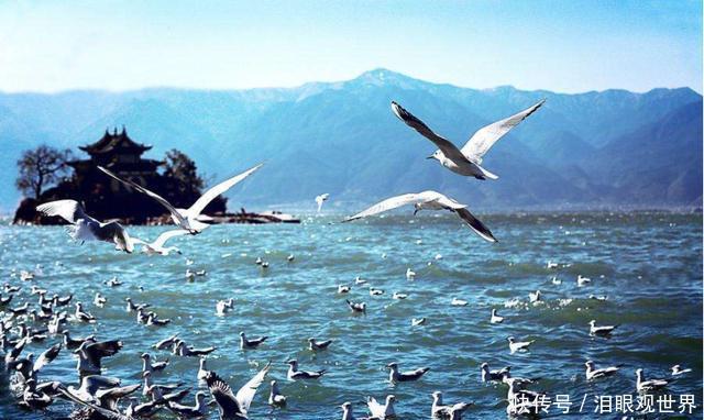 中国最“动听”省份,游客一听名字就“酥”了,风景个个都说好