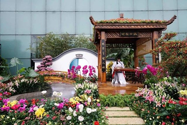  「鲜花」比种1亩粮食收入高3-5倍，看着鲜花就能赚钱，你们村可