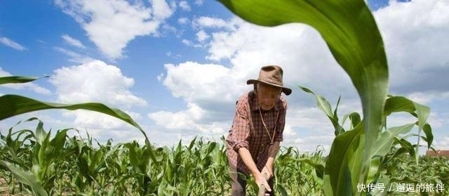  「发现」全身有毒的“外来物种”，却被农民发现其食用价值，成