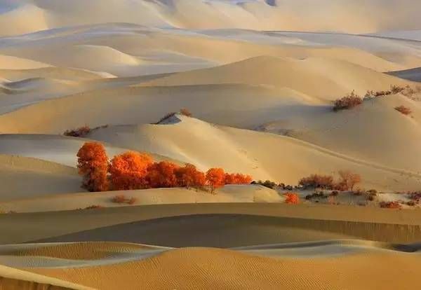 中国最美的30个地方（完整版）终于找齐了！第一居然是…