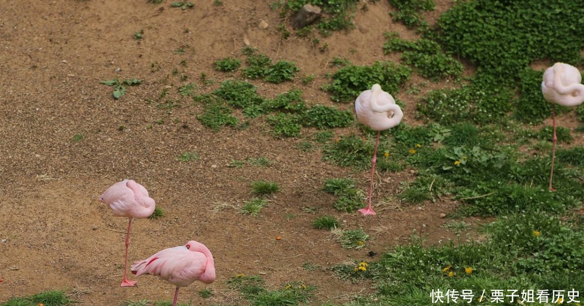 中国有个“土豪村”人均收入高达25万，1300名村民都住别墅！