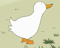 “我太难了！”今天没有一只鸭子能活着走出藤县、走出广西！